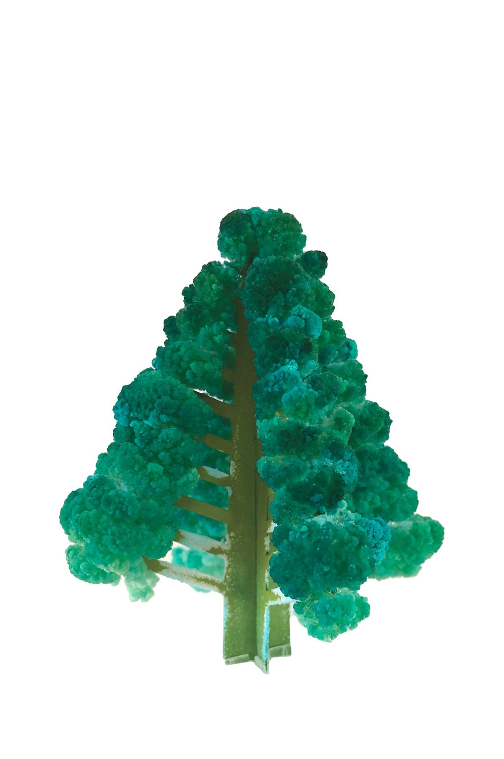 Crystal Growing Balsam Fir