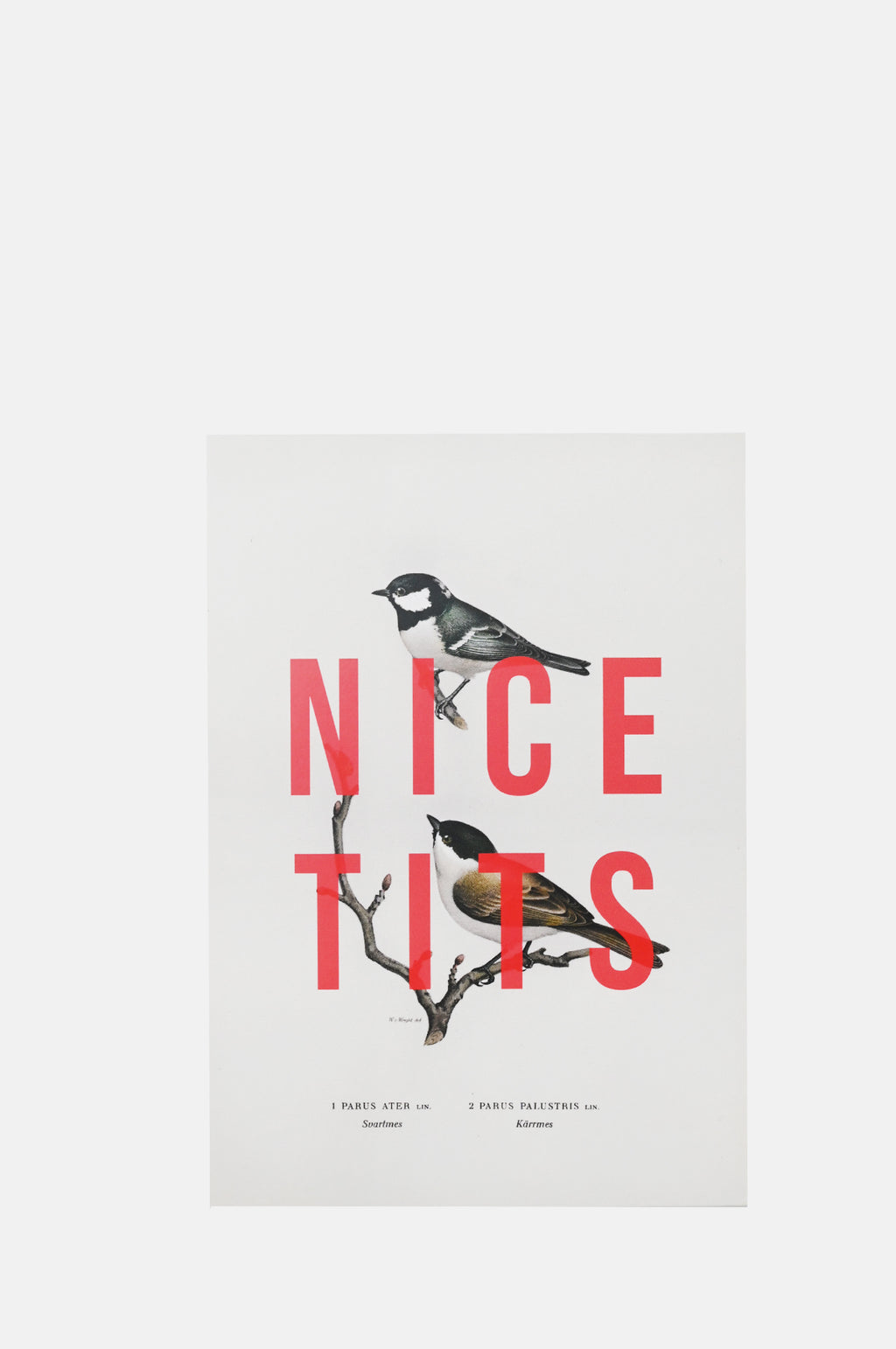 East End Prints Nice Tits Card.