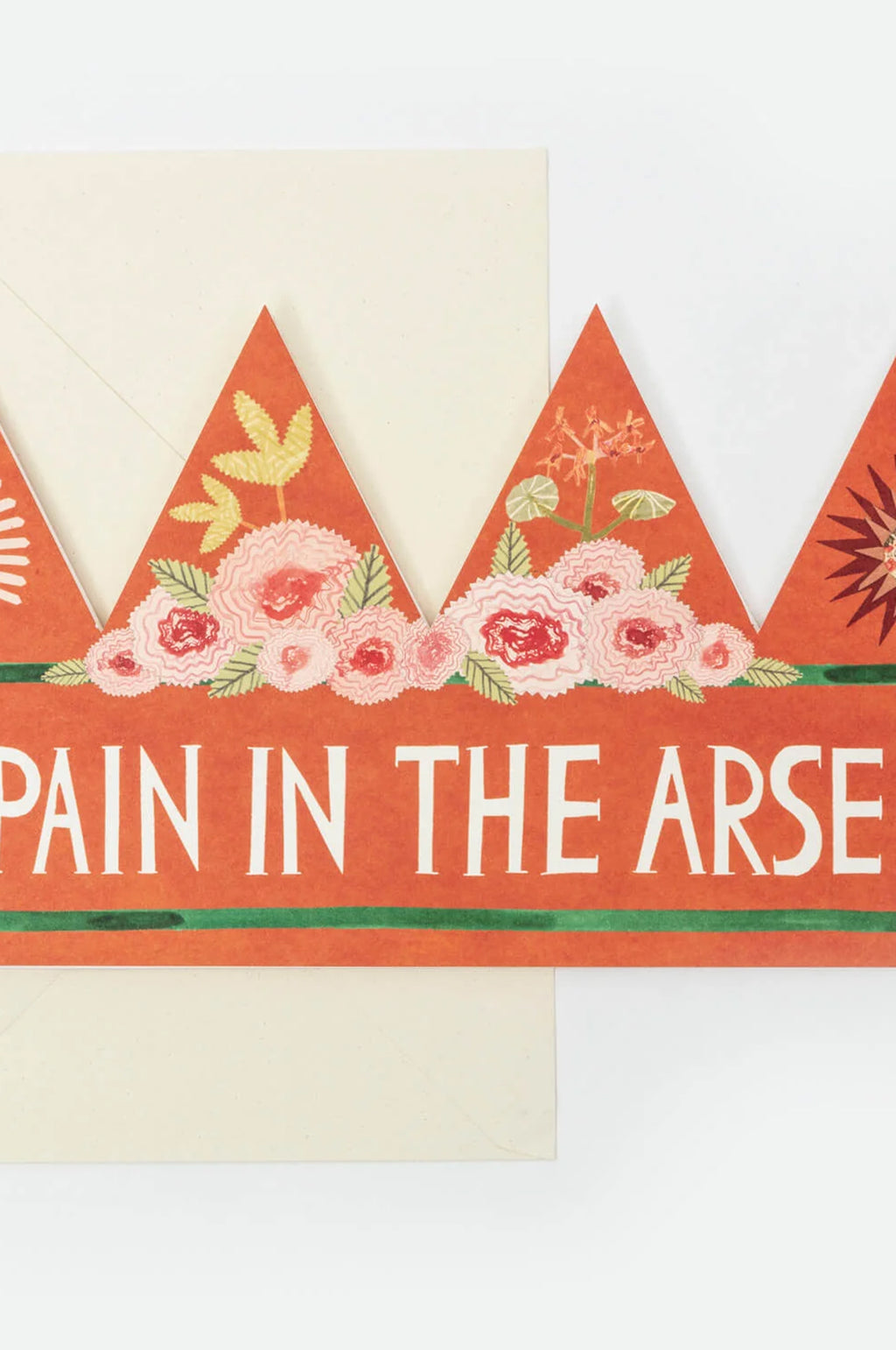 Pain In The Arse Party Hat