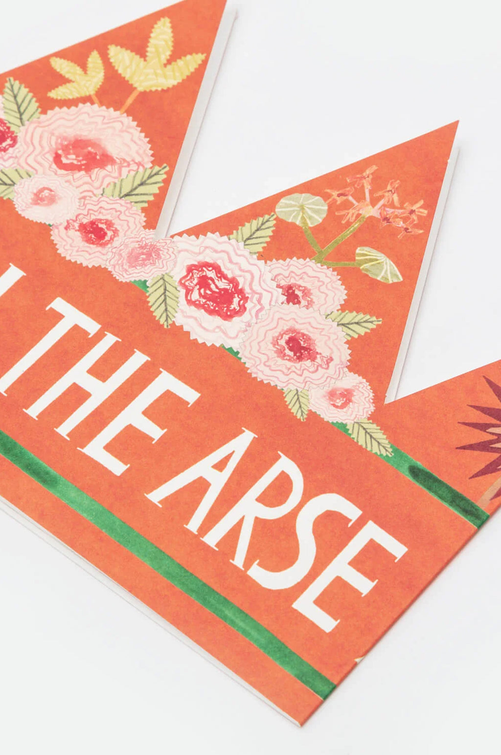 Pain In The Arse Party Hat