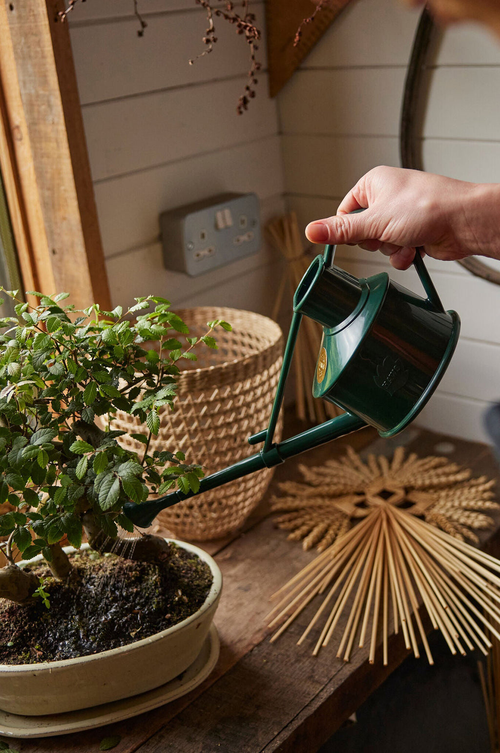 Langley Sprinkler Green