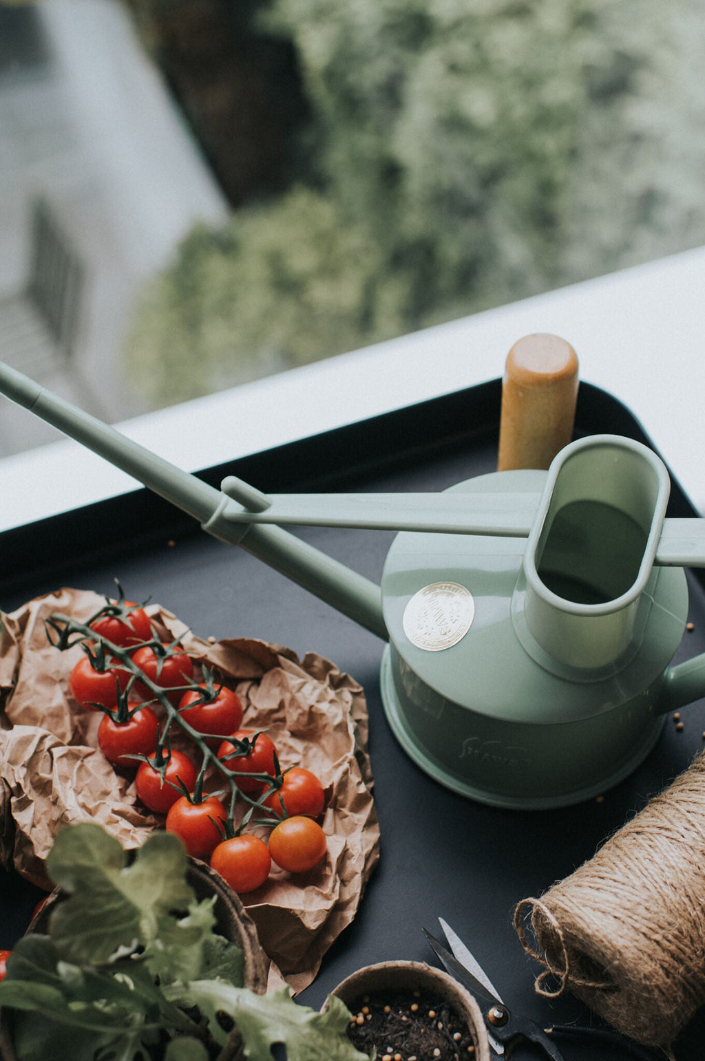 Langley Sprinkler Sage