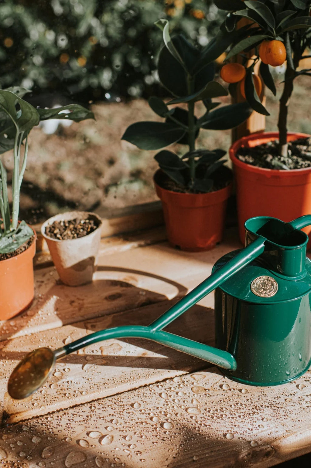 The Rowley Ripple Watering Can Green