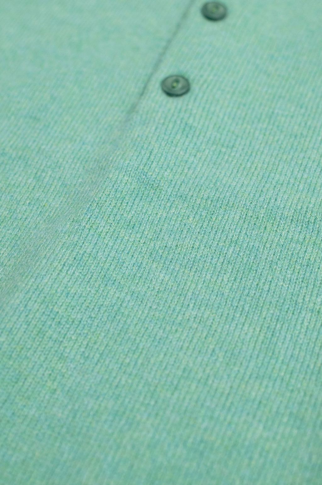 Polo 10gg Munsell Green
