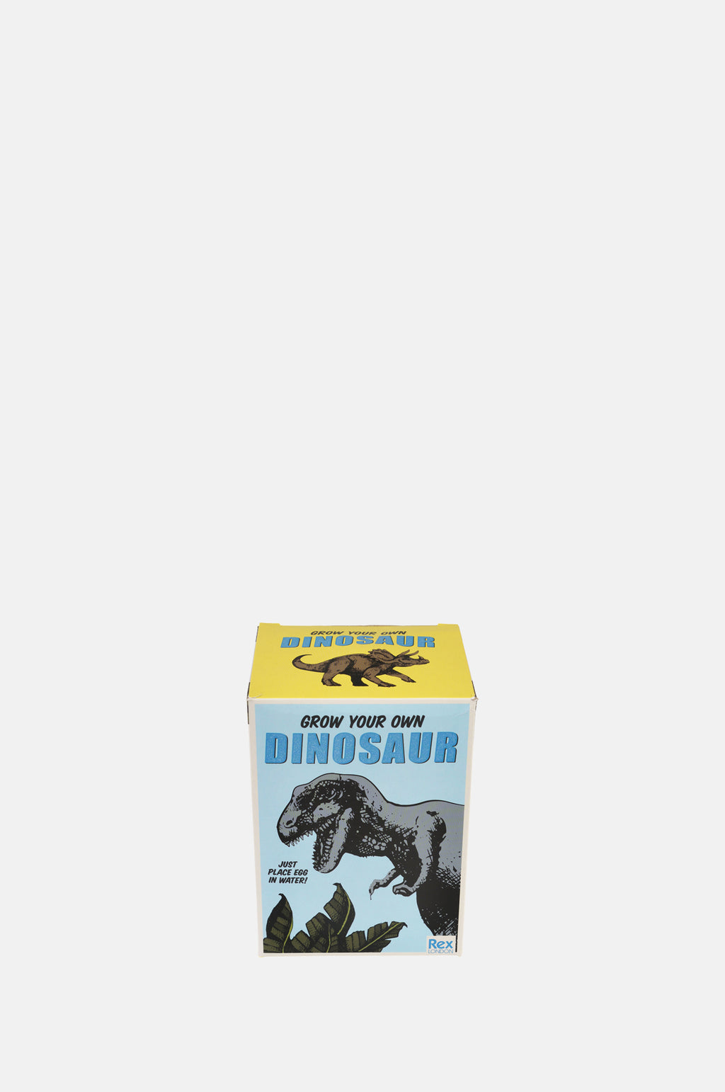 Rex Giant Hatching Dinosaur Egg.