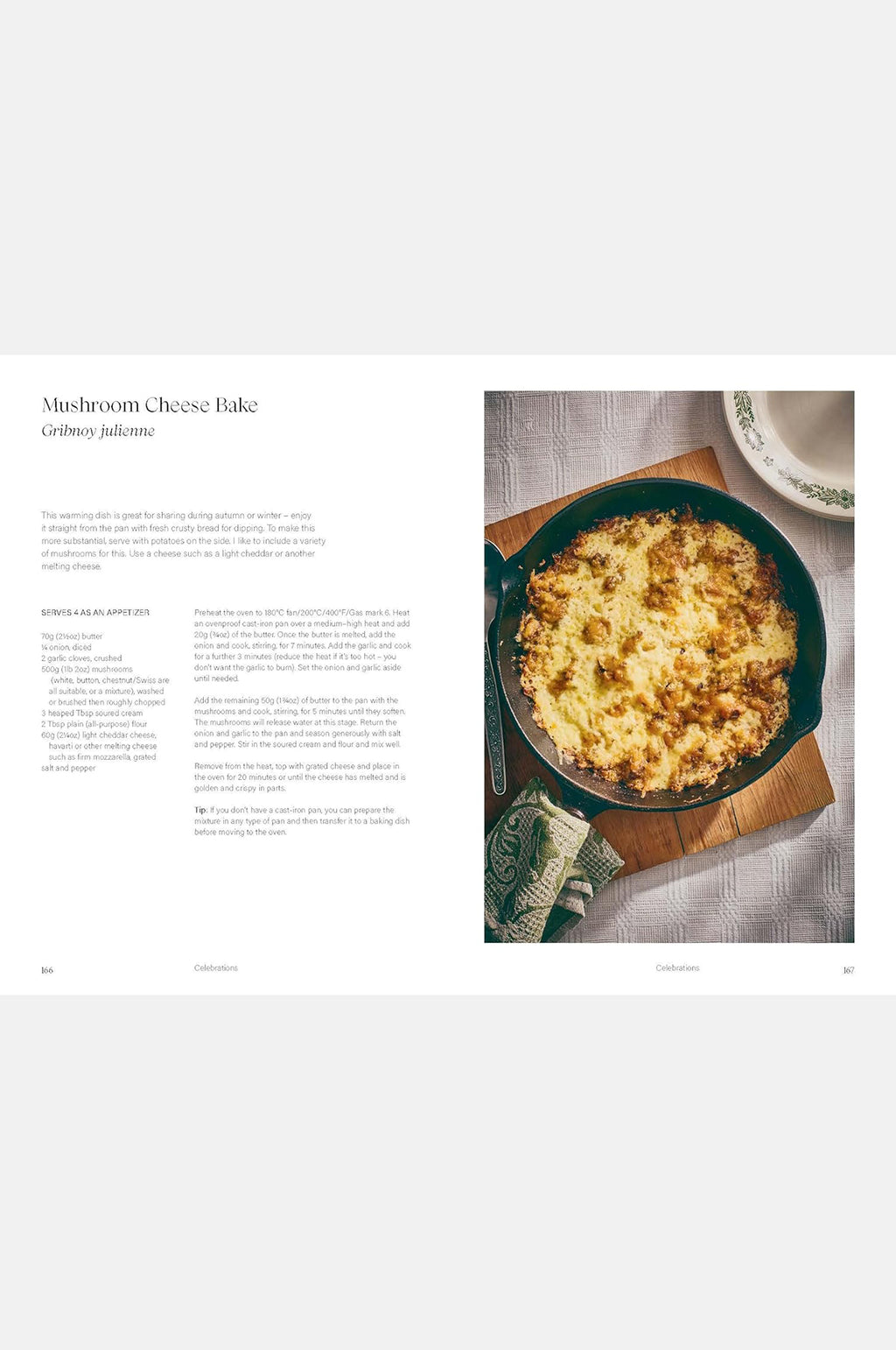 Sour Cherries And Sunflowers