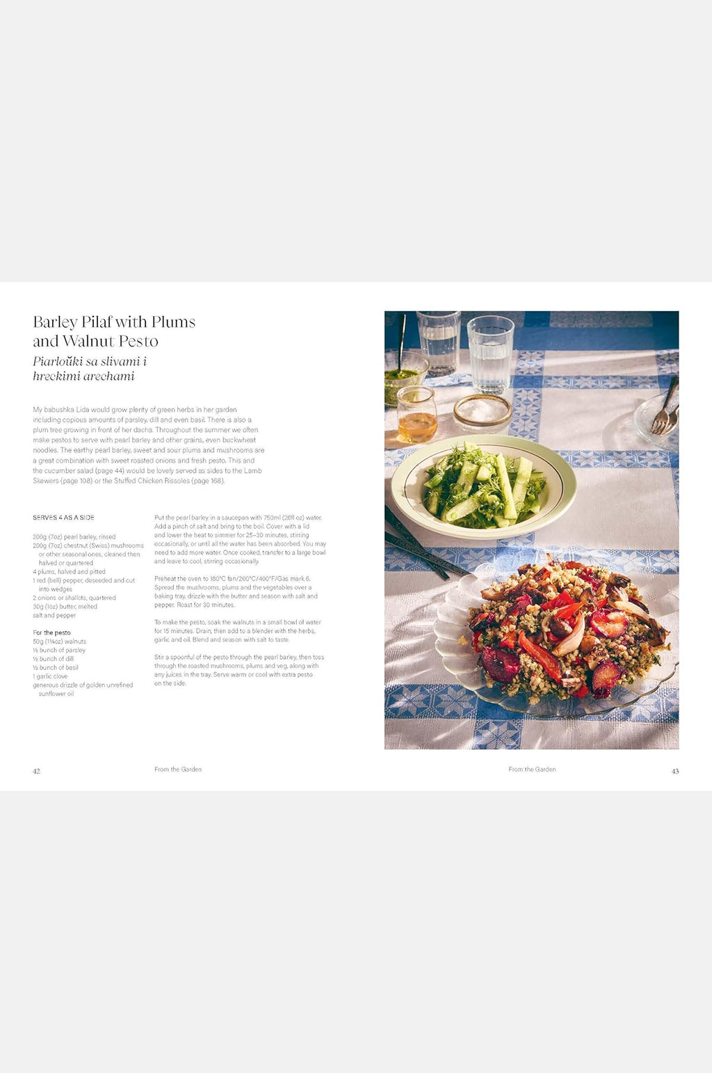 Sour Cherries And Sunflowers