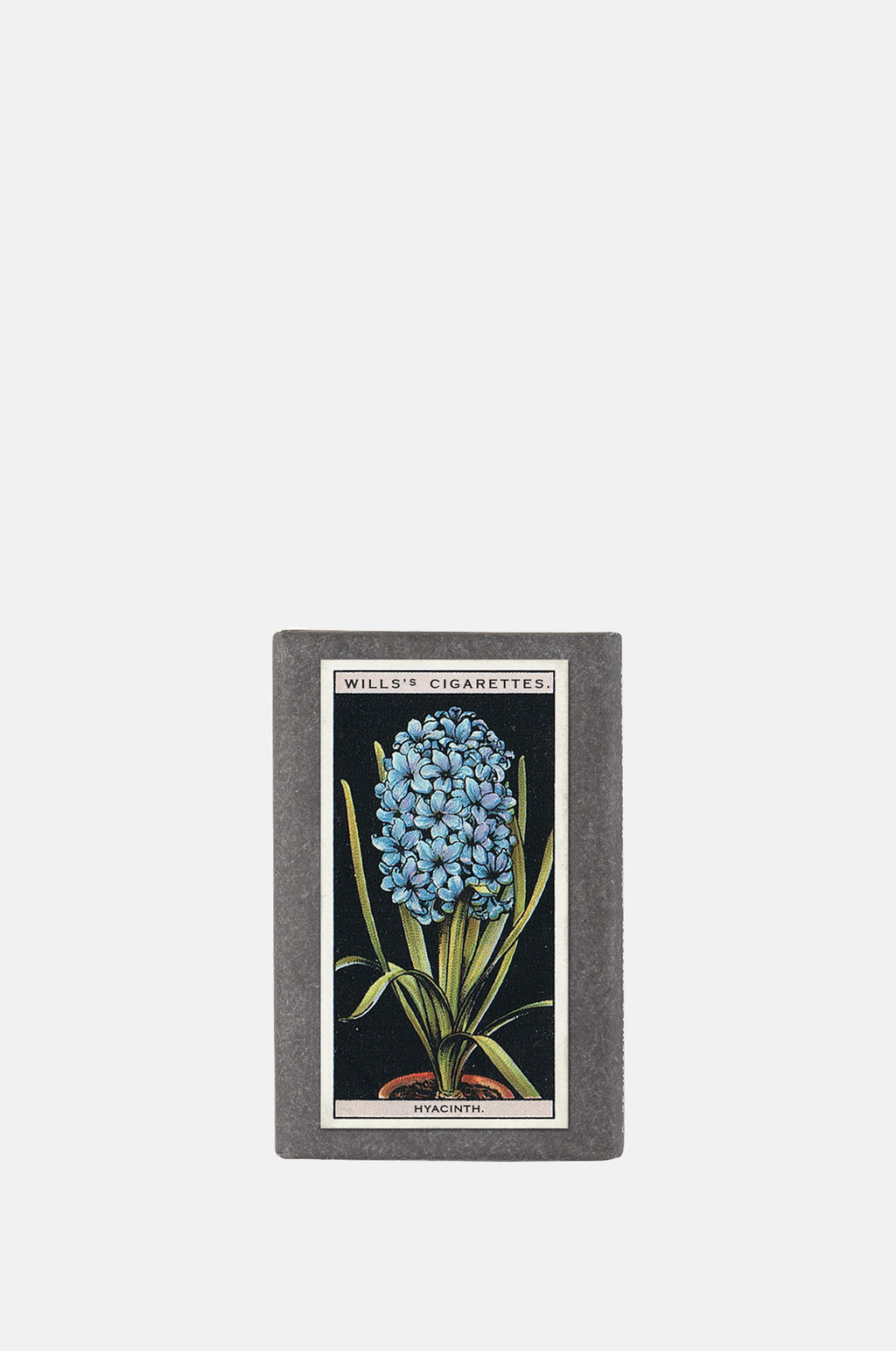 Sting in the Tail Vintage Pot Plants Label Soap Hyacinth.