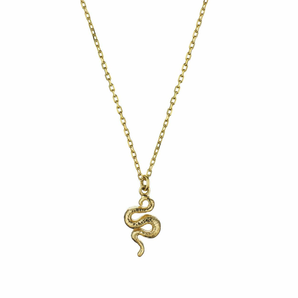 A.M. Teeny Tiny Snake Necklace 18ct Solid Gold