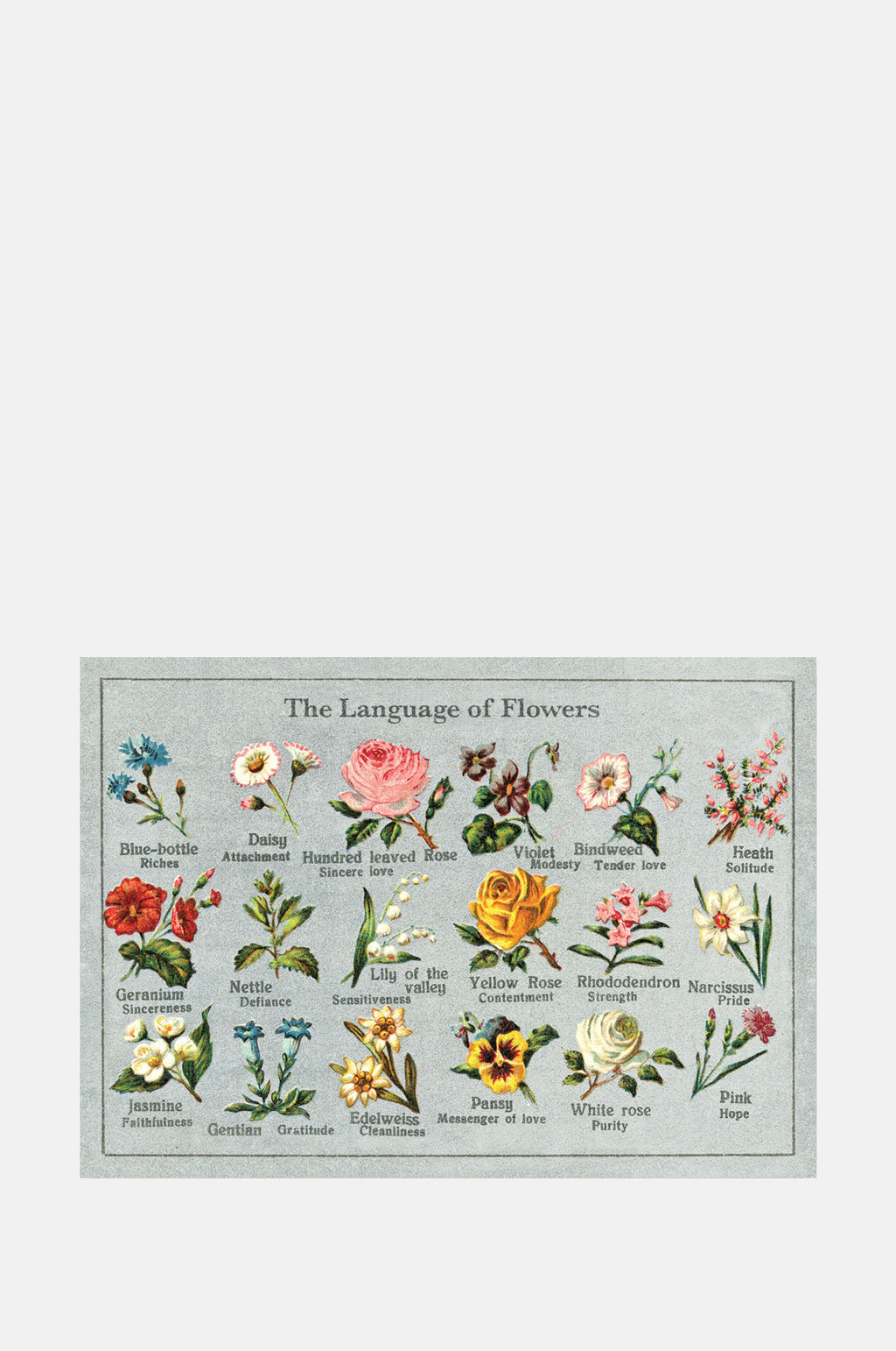 The Pattern Book Language of Flowers Greeting Card.
