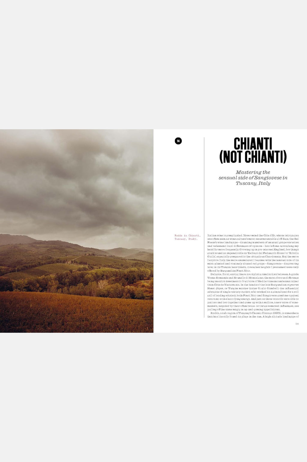 Who's Afraid Of Romanee Conti