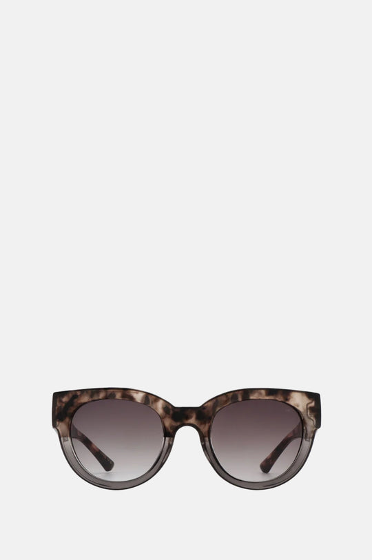 Lilly Sunglasses Coquina