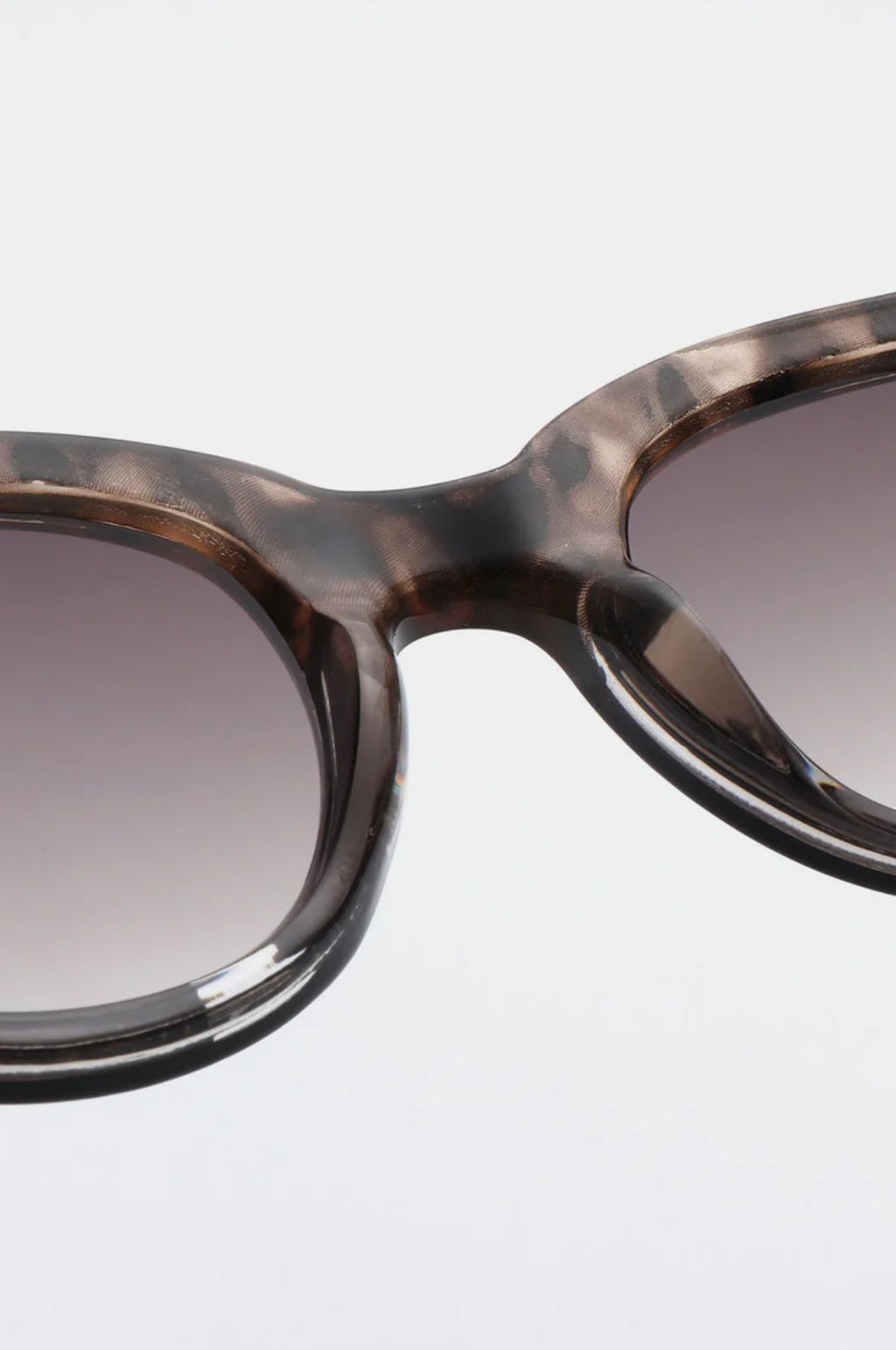 Lilly Sunglasses Coquina