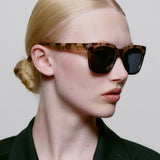 Nancy Sunglasses Coquina/ Gray Transparent
