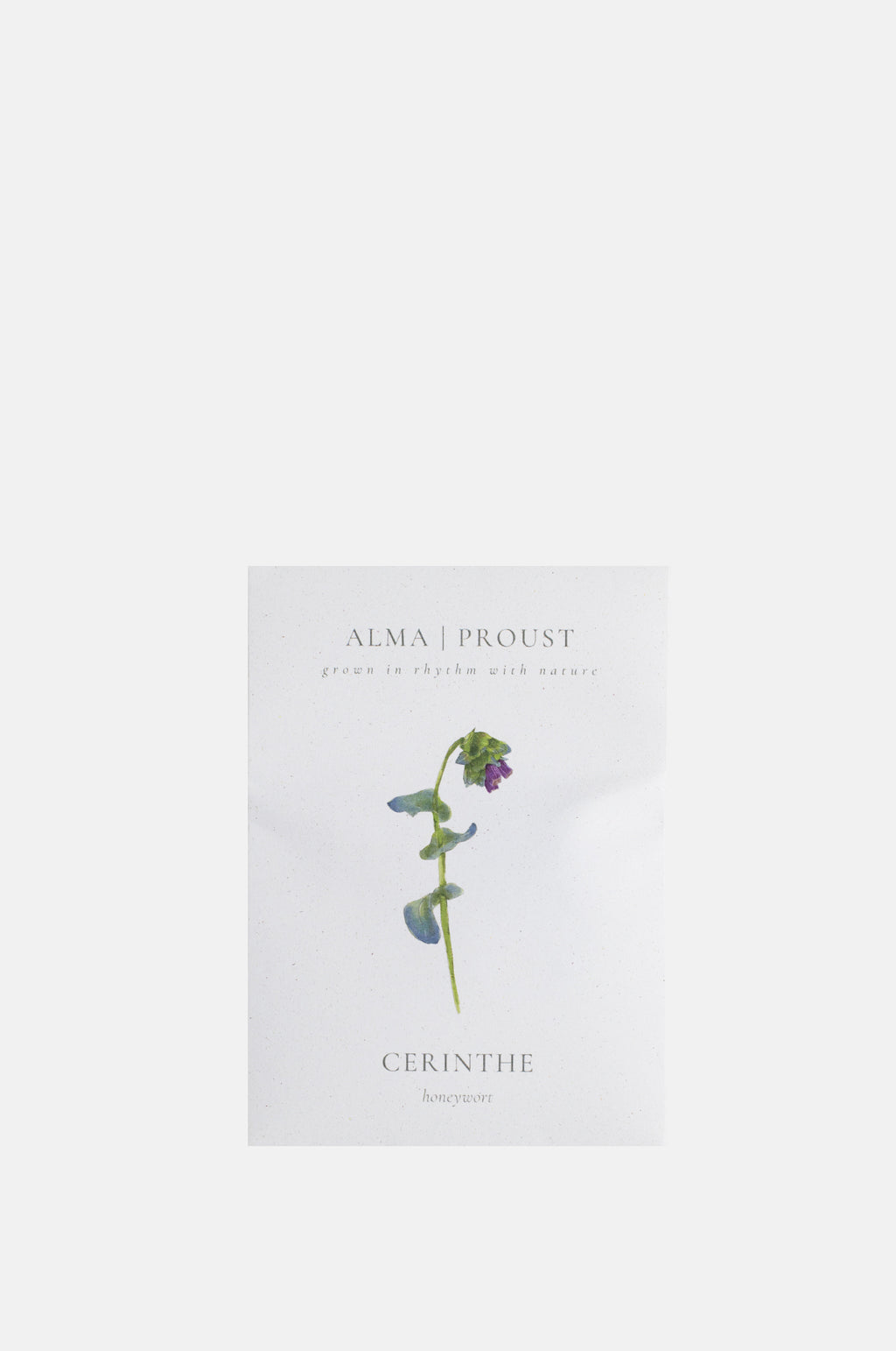 Alma Proust Cerinthe.