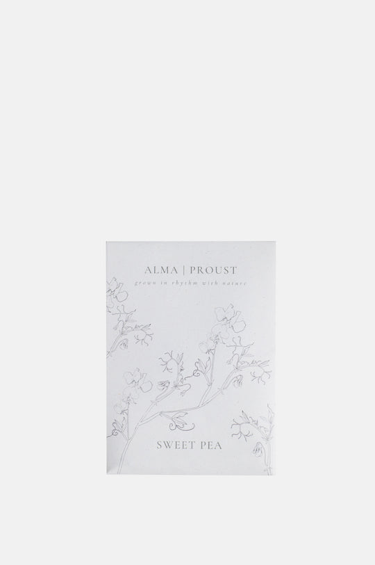 Sweet Pea 'April in Paris'