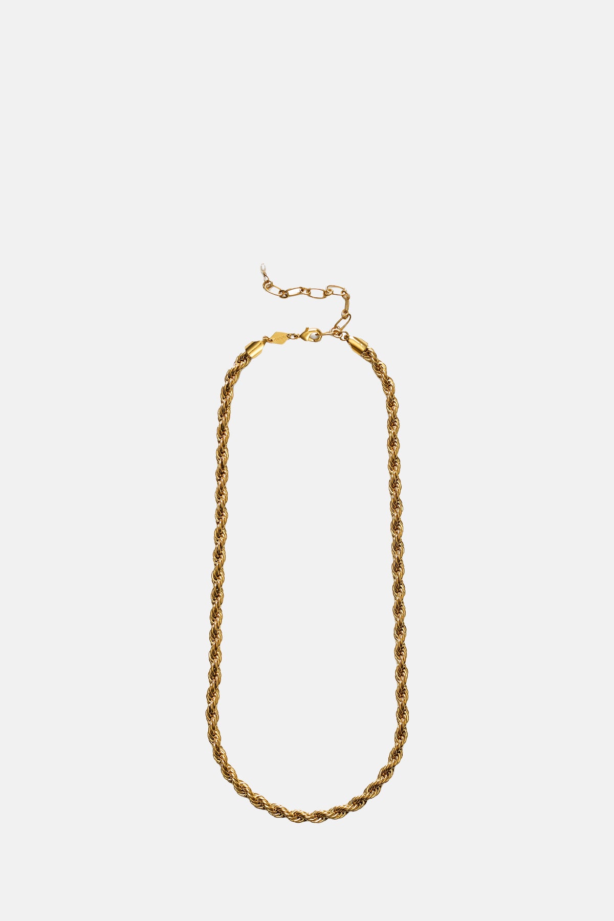 Anni Lu Golden Rope Necklace.