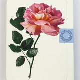 Pink Rose Notecard