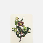 Canonbury Press Posy of Hellebore Notecard.