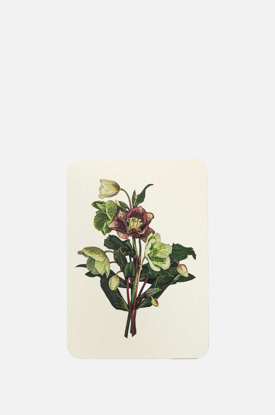 Posy of Hellebore Notecard