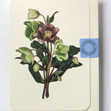 Posy of Hellebore Notecard