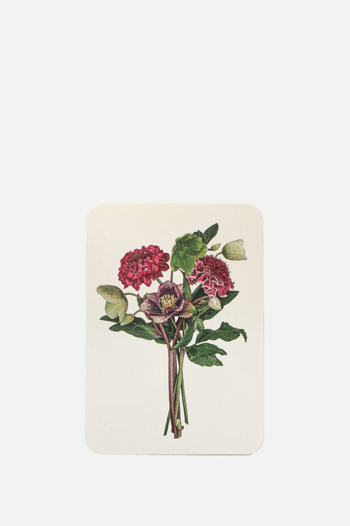 Canonbury Press Posy of Hellebore and Scabiosa Notecard.