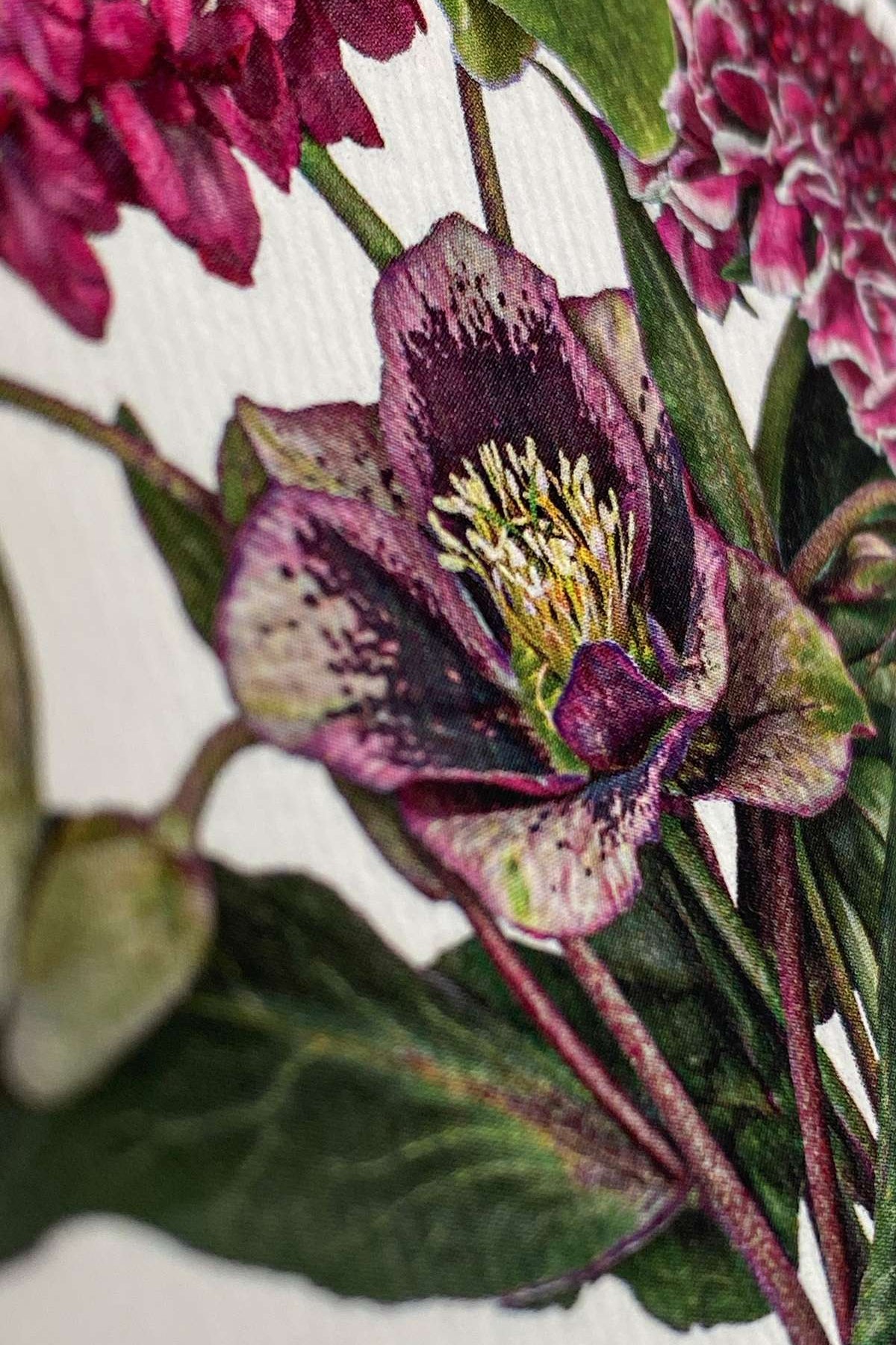 Posy of Hellebore & Scabiosa Notecard