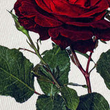 Red Rose Notecard