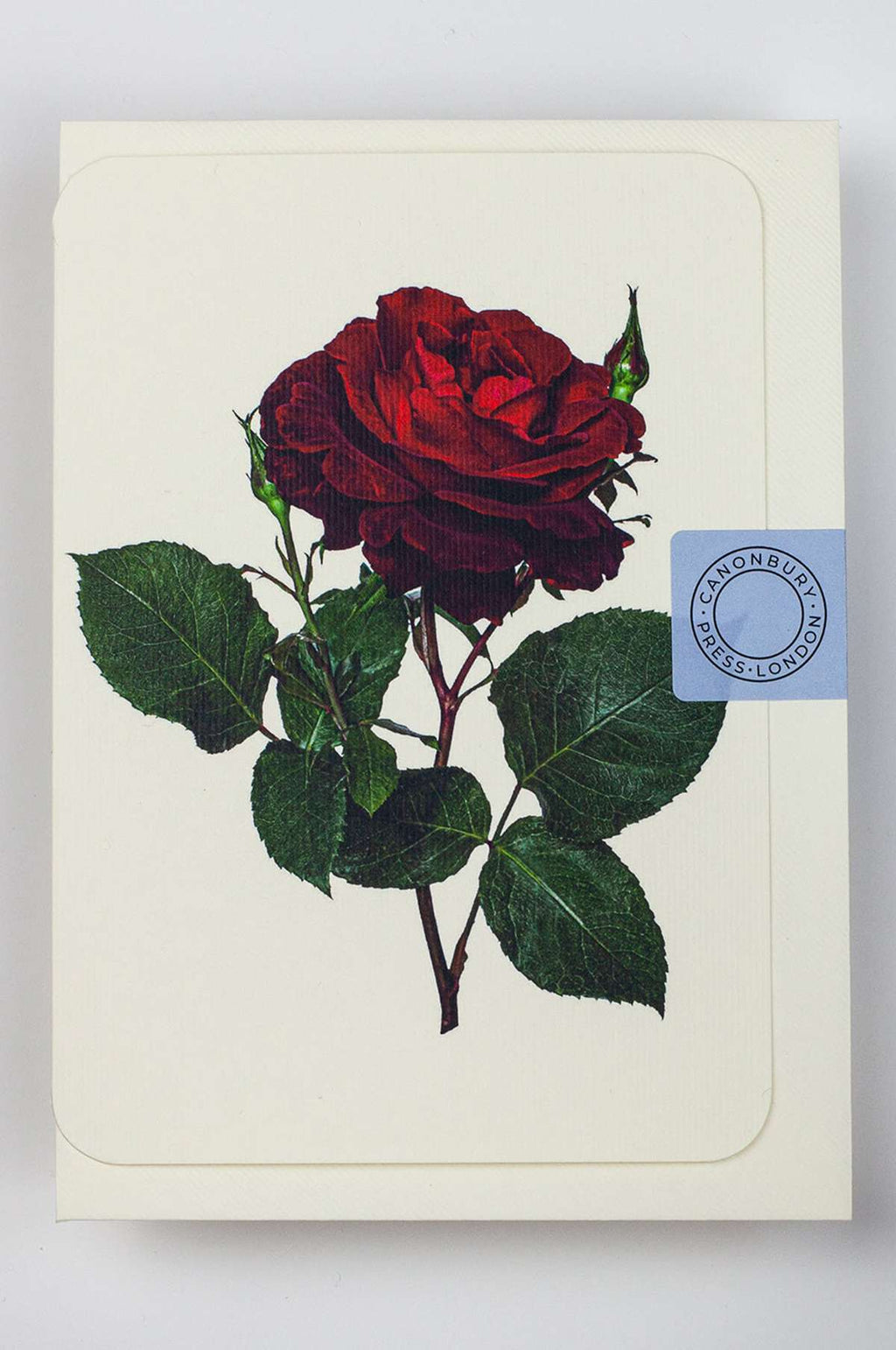 Red Rose Notecard
