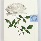 White Rose Notecard