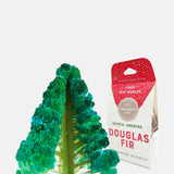 Copernicus Toys Crystal Growing Douglas Fir.
