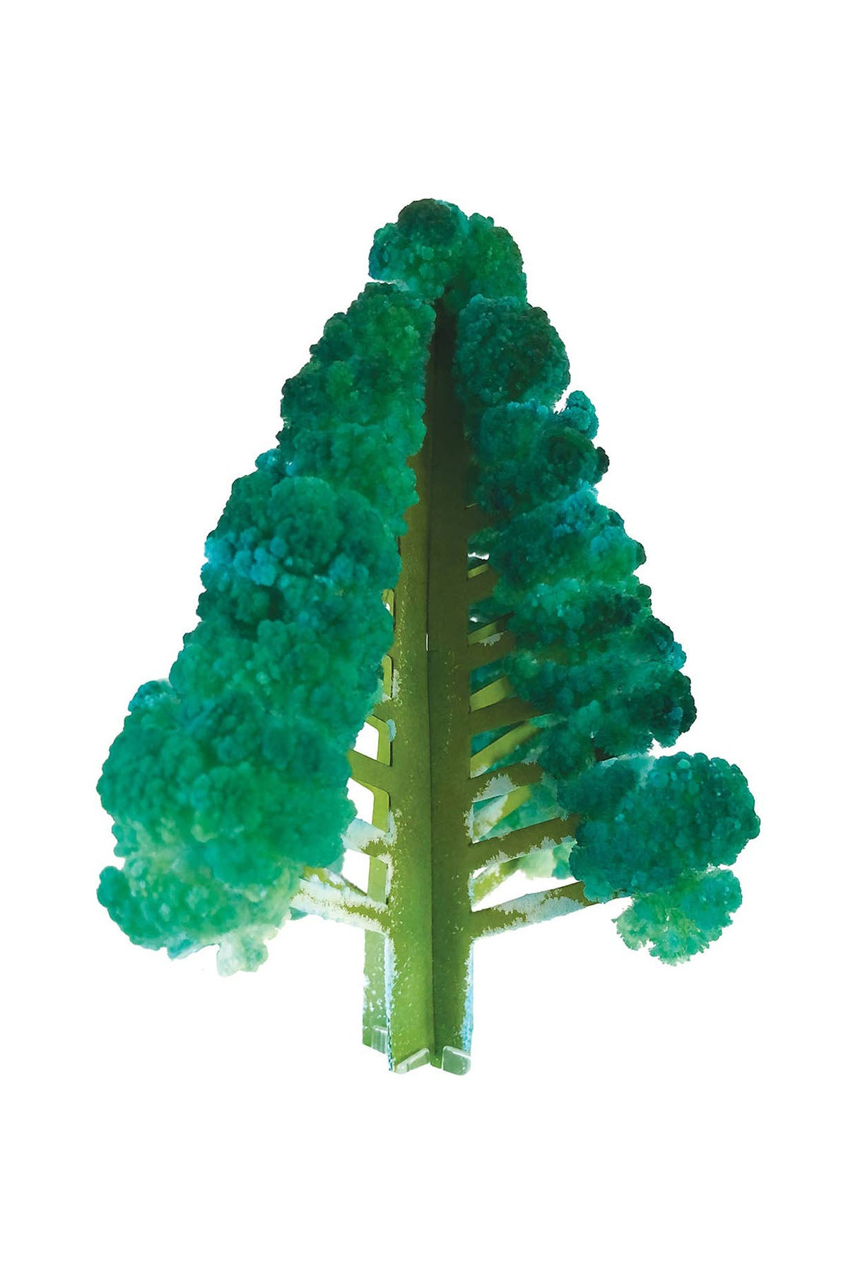 Slide image