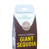 Crystal Growing Giant Sequoia