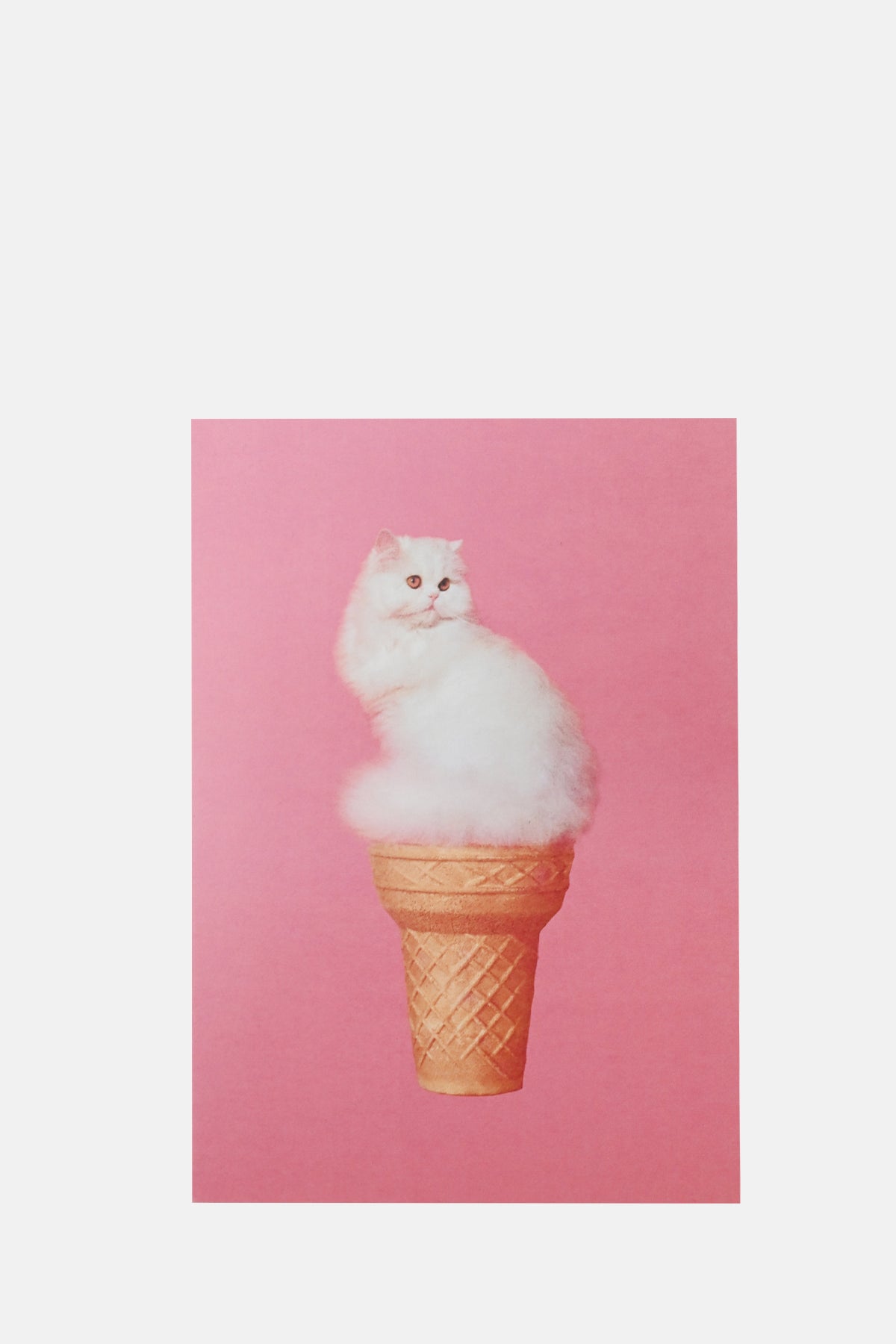 East End Prints Cat Ice Cream Card.