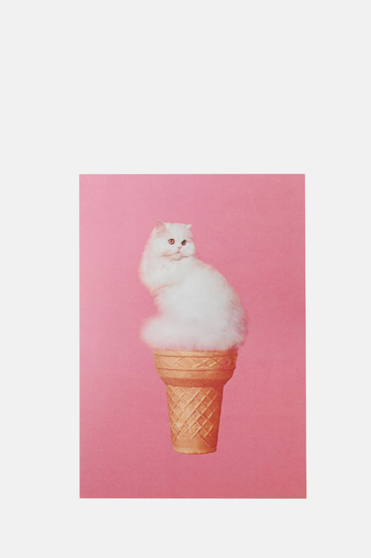 Cat Ice Cream Card
