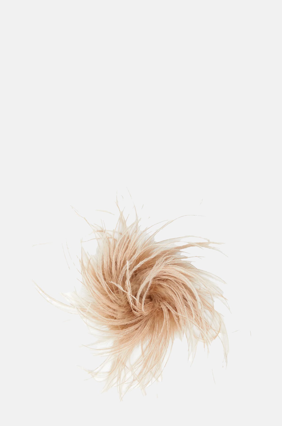 Exquisite J Gallopavero Feather Pin Blush.