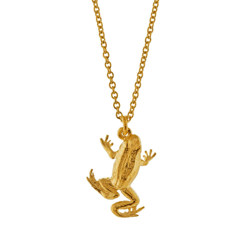 A.M. Frog Necklace Gold