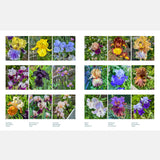 Life With Flowers