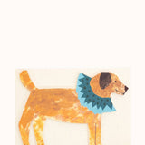 Betty Dog