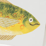 Cheery Fish Card