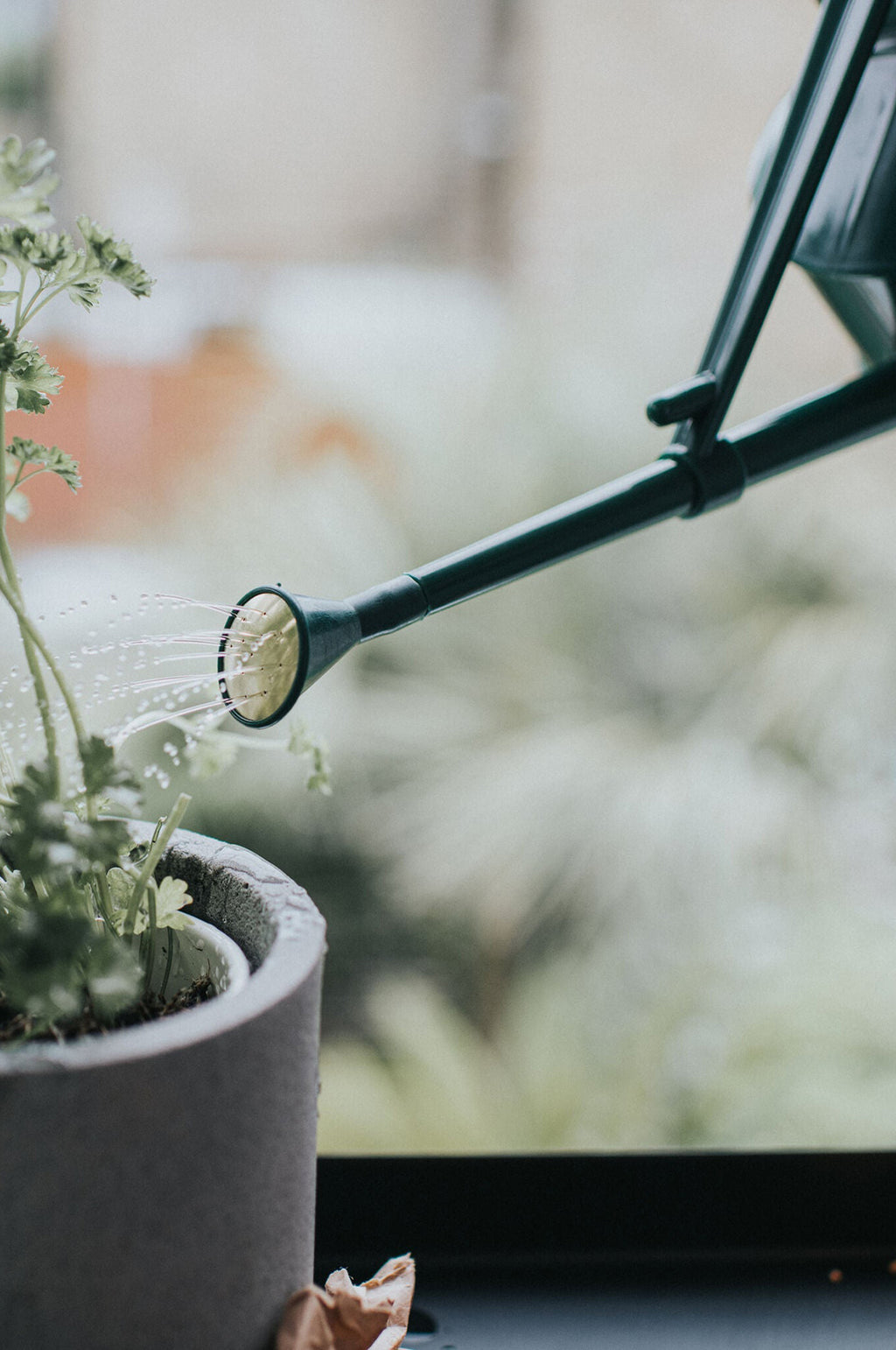 Langley Sprinkler Green