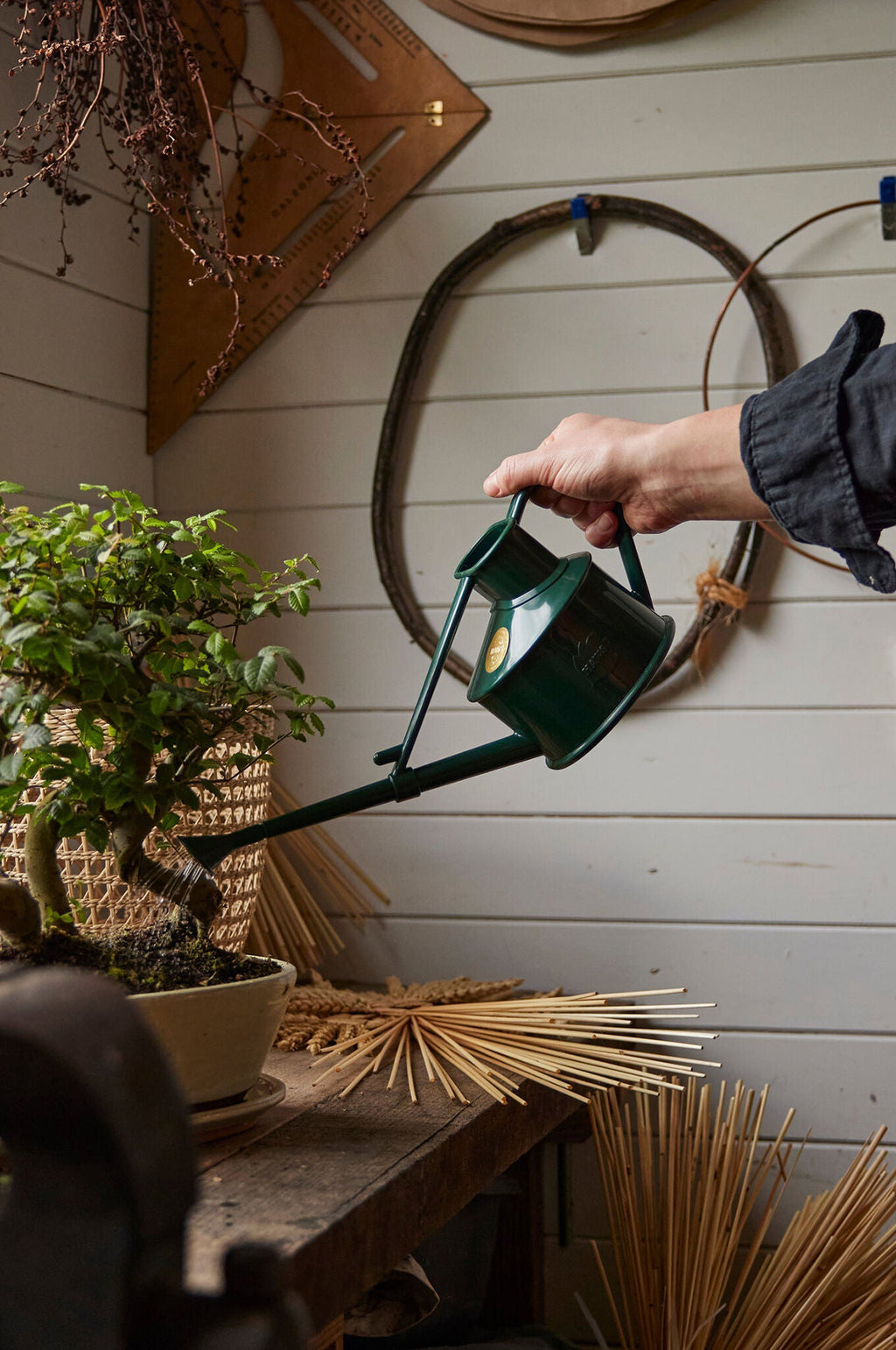 Langley Sprinkler Green