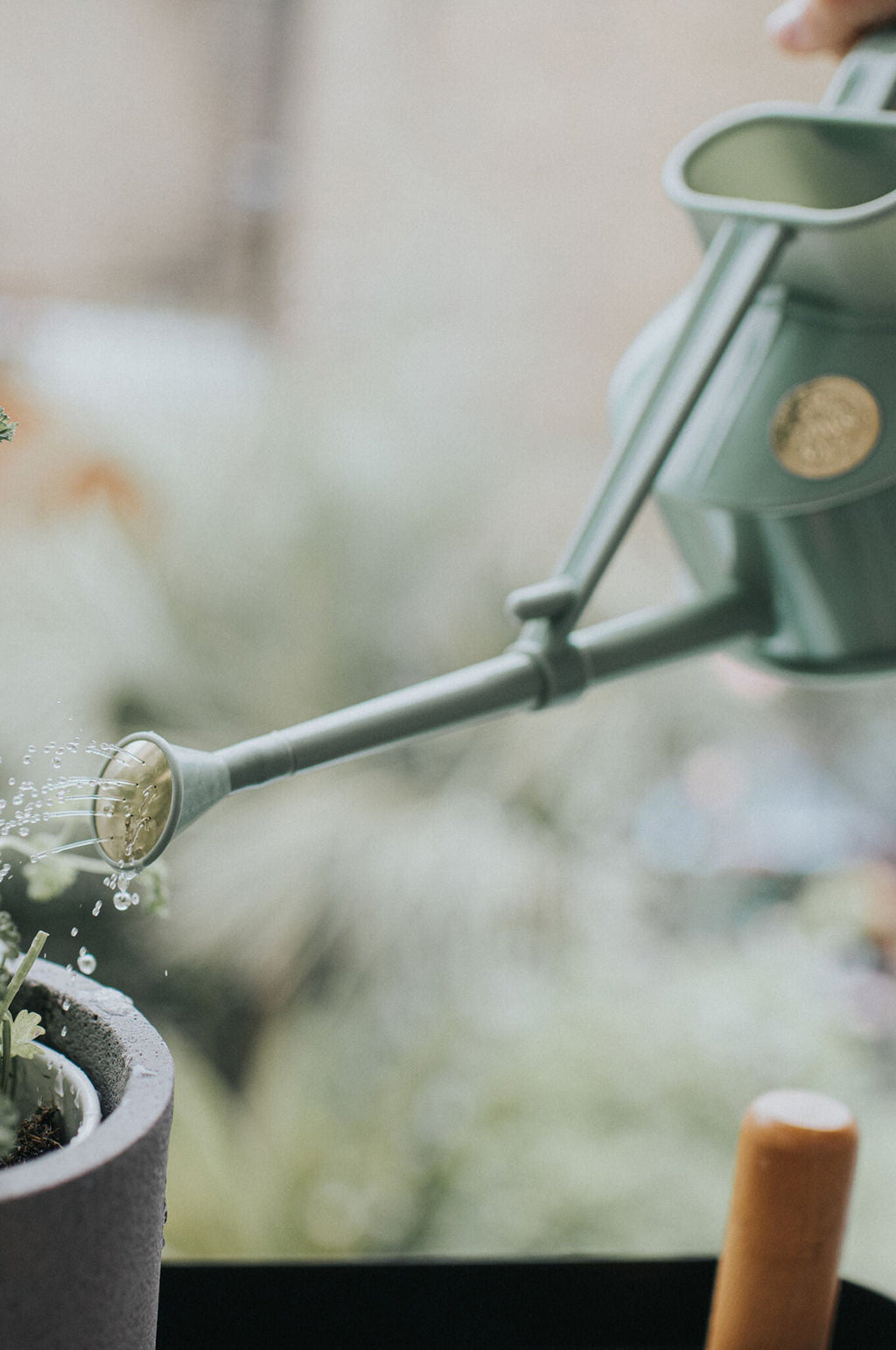 Langley Sprinkler Sage