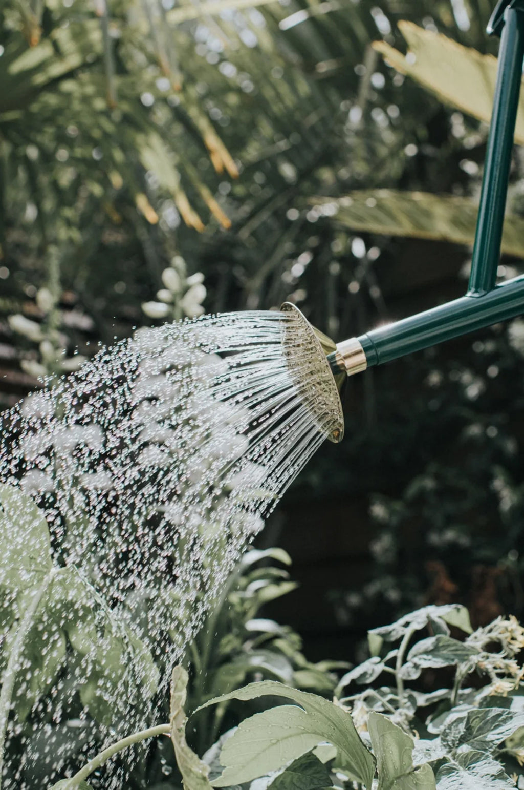 The Bearwood Brook Watering Can Green