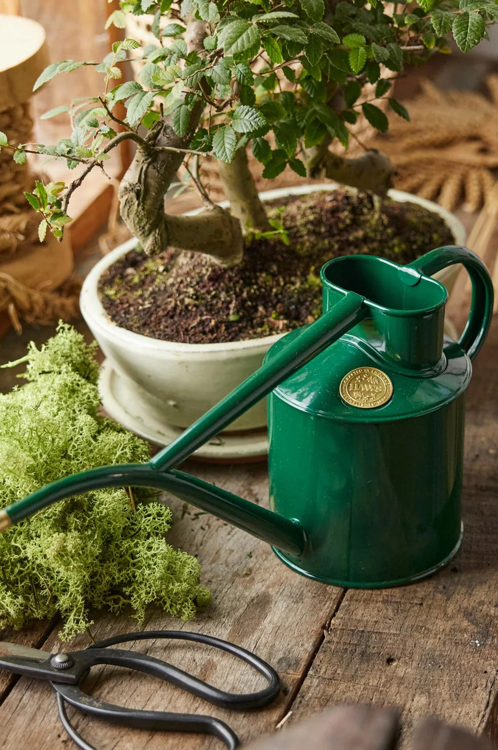 The Rowley Ripple Watering Can Green