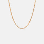 Jenny Bird Dhani Gold Chain Necklace.