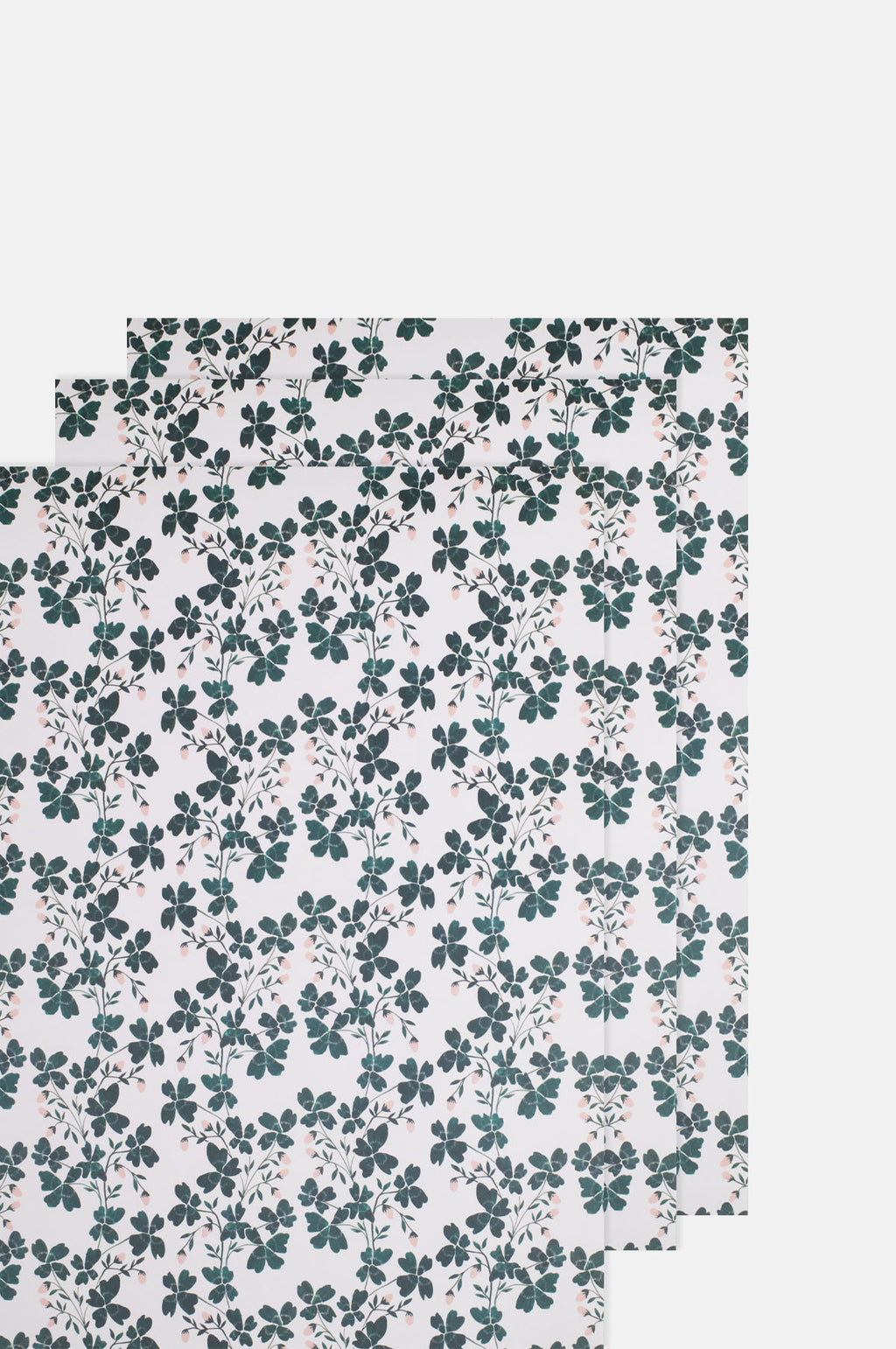 Katie Housley Botanical Wrapping Paper.