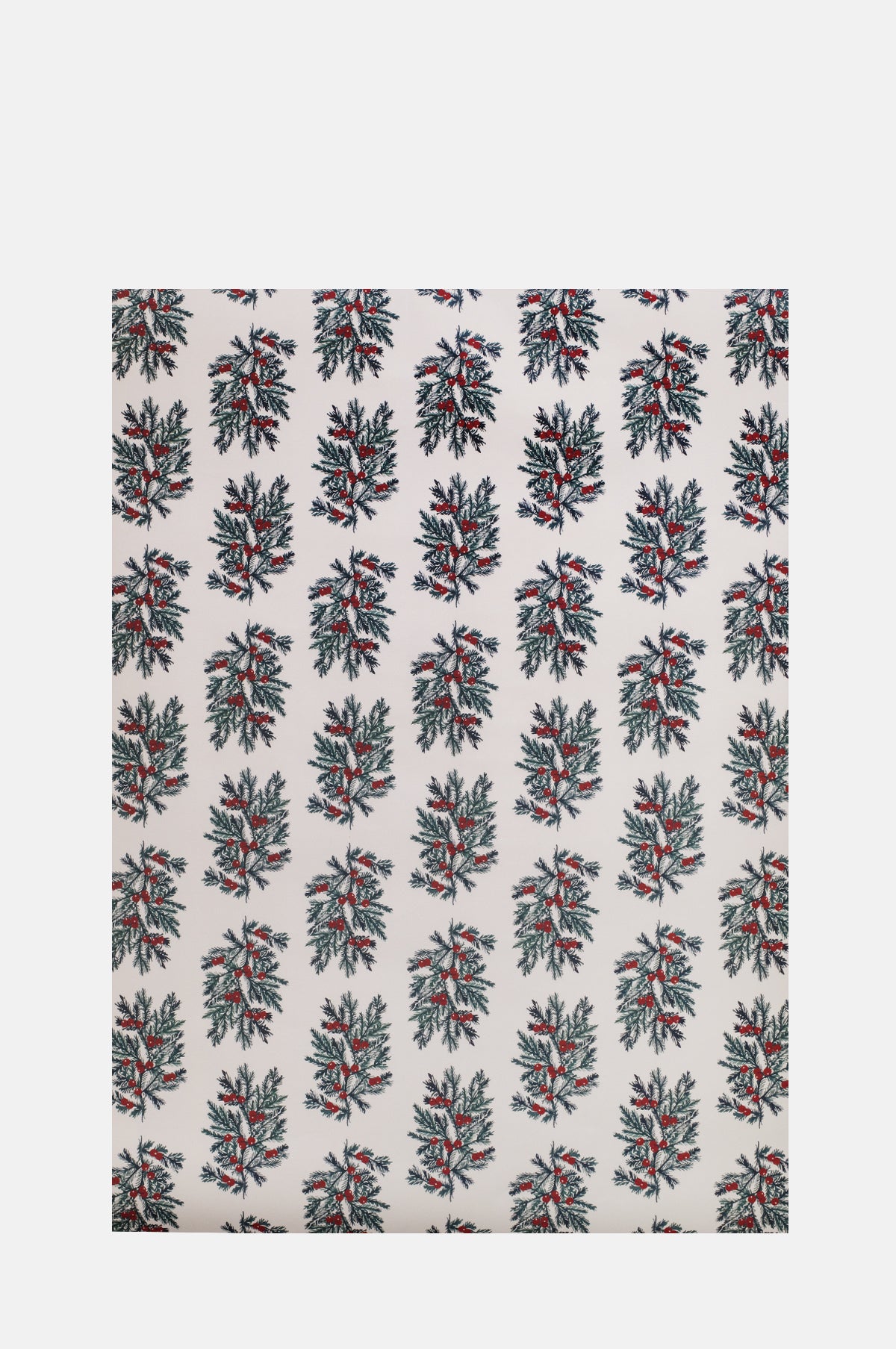 Katie Housley Fir Botanical Wrapping Paper Set of 3 Sheets.