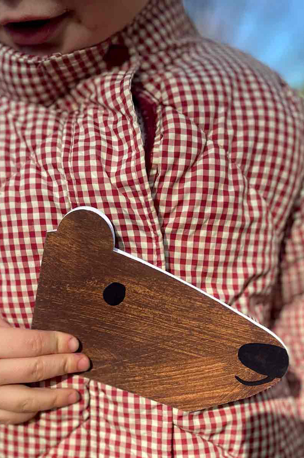 Brown Bear Shaped Greeting Card