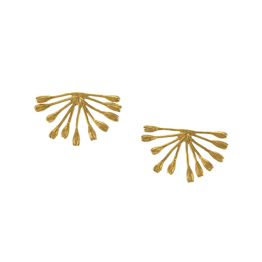 A.M. Fanned Seed Pod Stud Earrings Gold